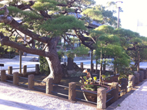 寺院写真2